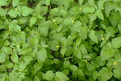 content_img.698.img.jpg