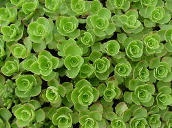 content_img.700.img.jpg