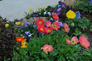 content_img.7021.img.jpg