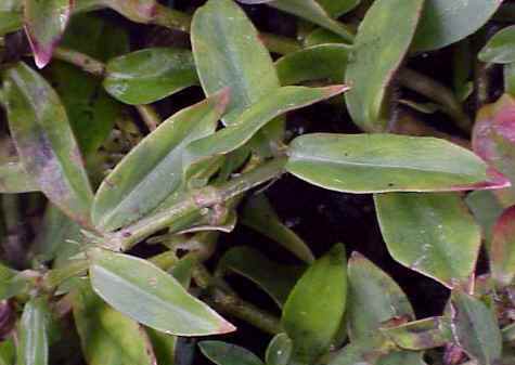 content_img.7031.img.jpg