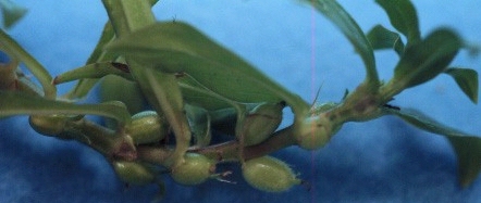content_img.7032.img.jpg