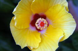 content_img.712.img.jpg