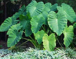 content_img.713.img.jpg