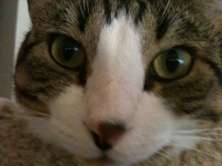 content_img.7151.img.jpg