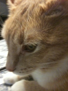 content_img.7158.img.jpg