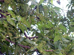 content_img.7167.img.jpg