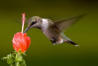 content_img.7179.img.jpg
