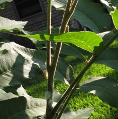 content_img.7187.img.jpg