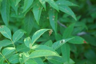 content_img.7196.img.jpg