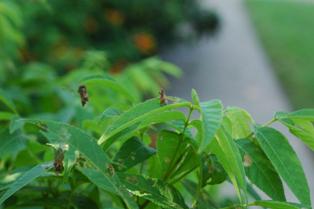 content_img.7198.img.jpg