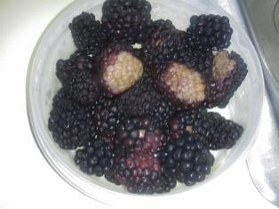 content_img.7208.img.jpg
