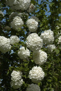 content_img.721.img.jpg