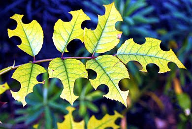 content_img.7227.img.jpg