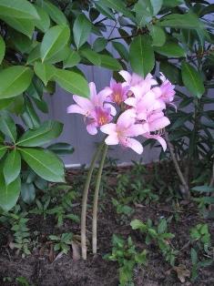 content_img.7253.img.jpg