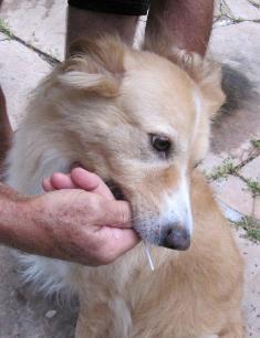 content_img.7306.img.jpg
