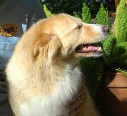 content_img.7310.img.jpg