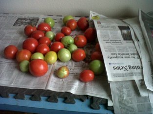 content_img.7530.img.jpg