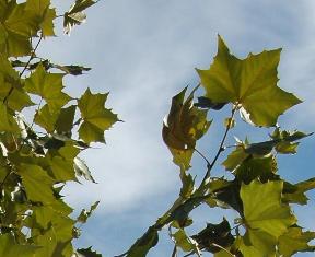 content_img.7546.img.jpg