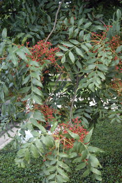 content_img.755.img.jpg