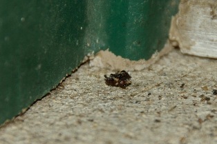 content_img.7600.img.jpg