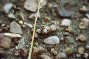 content_img.7602.img.jpg
