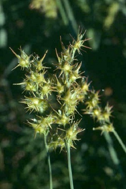 content_img.7772.img.jpg