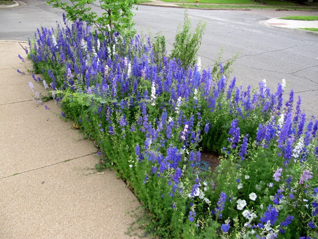 content_img.7811.img.jpg