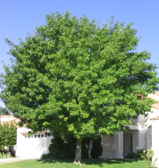 content_img.7905.img.jpg