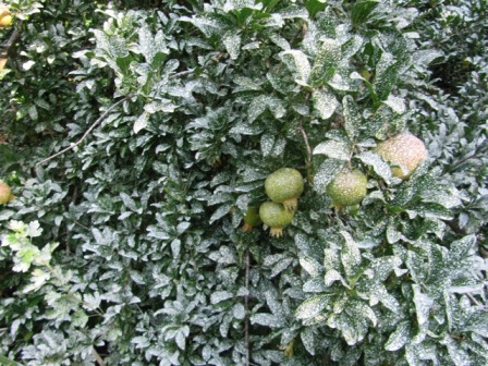 content_img.7924.img.jpg