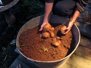 content_img.7949.img.jpg