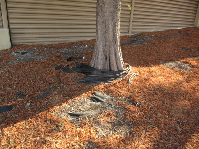 content_img.8025.img.jpg