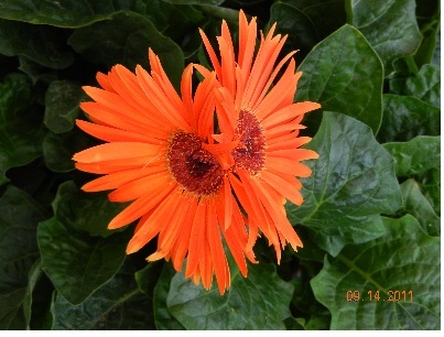 content_img.8036.img.jpg