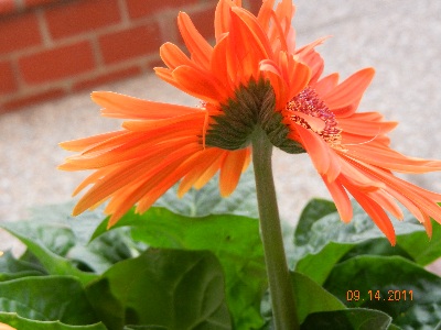 content_img.8037.img.jpg
