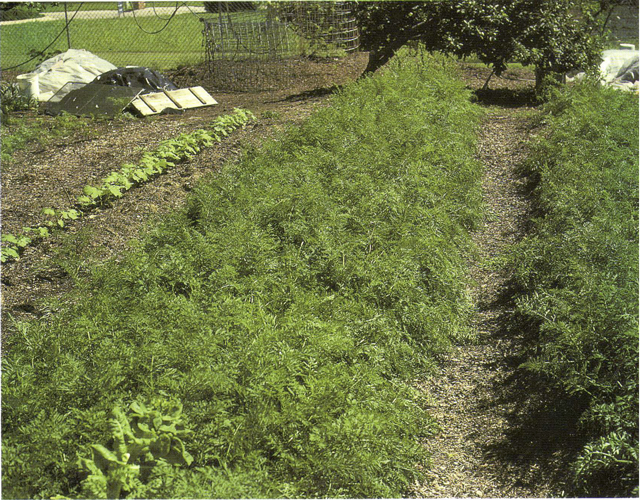 content_img.8040.img.jpg