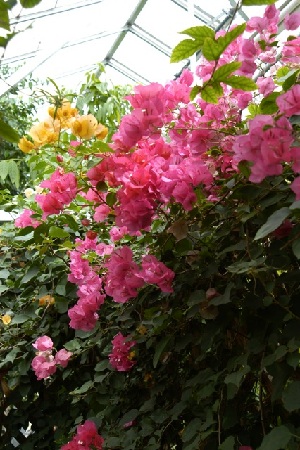 content_img.8082.img.jpg