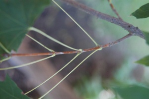content_img.811.img.jpg