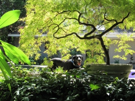 content_img.8115.img.jpg
