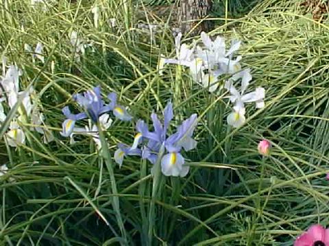 content_img.8132.img.jpg
