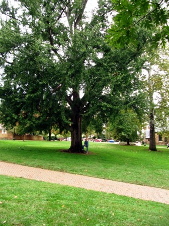 content_img.8200.img.jpg