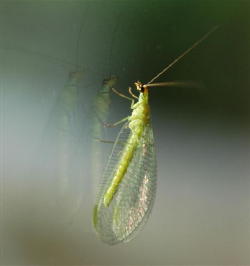 content_img.824.img.jpg