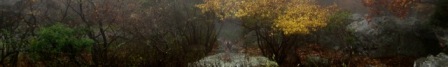 content_img.8275.img.jpg