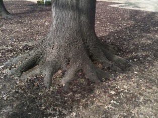 content_img.8377.img.jpg