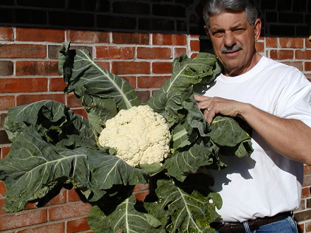 content_img.8642.img.png