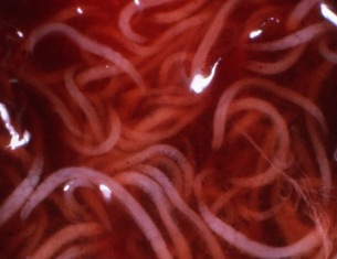 content_img.8684.img.jpg