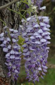content_img.8733.img.jpg