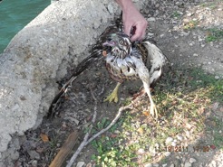 content_img.8771.img.jpg