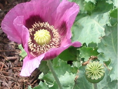 content_img.8808.img.jpg