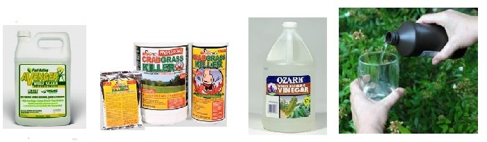content_img.8843.img.jpg
