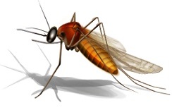 content_img.8866.img.jpg