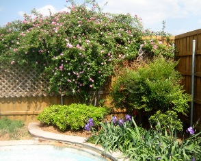 content_img.9042.img.jpg